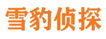 九台捉小三公司